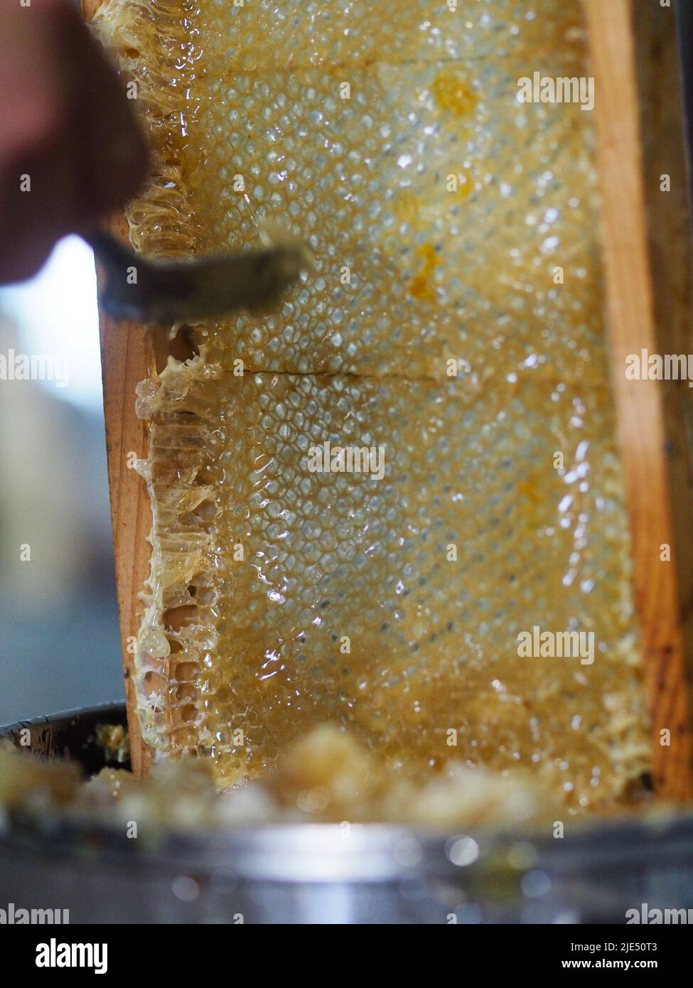 Natural raw honey being filtered ad dripped through a strainer to