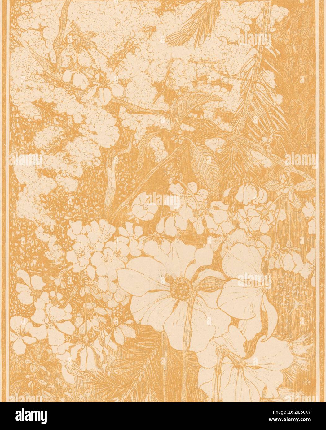 H 396 mm w 284 mm hi-res stock photography and images - Alamy