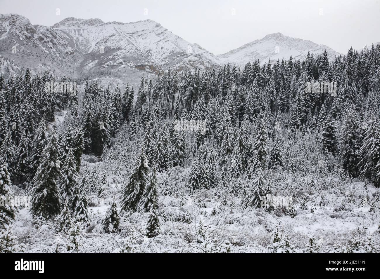 Sichuan province aba huanglong snow cold Stock Photo