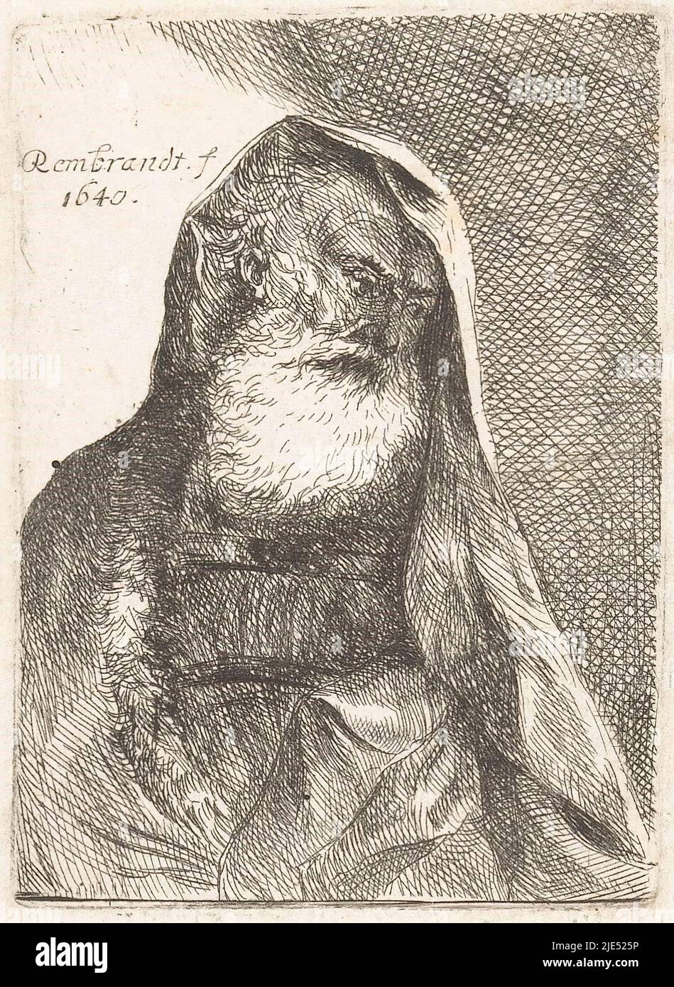 Rembrandt portrait old man beard hi-res stock photography and images ...