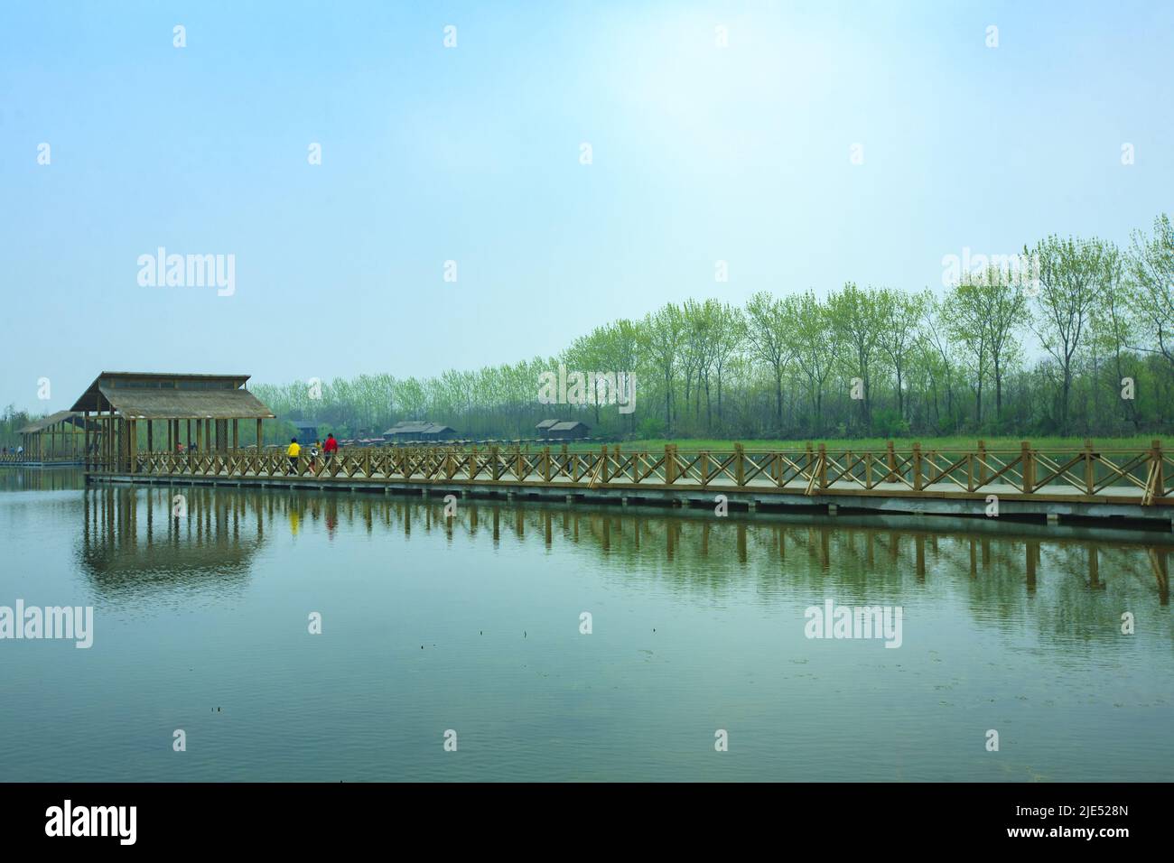 Jiangsu jiangyan Qin lake wetland park ecology nature sunshine Stock Photo