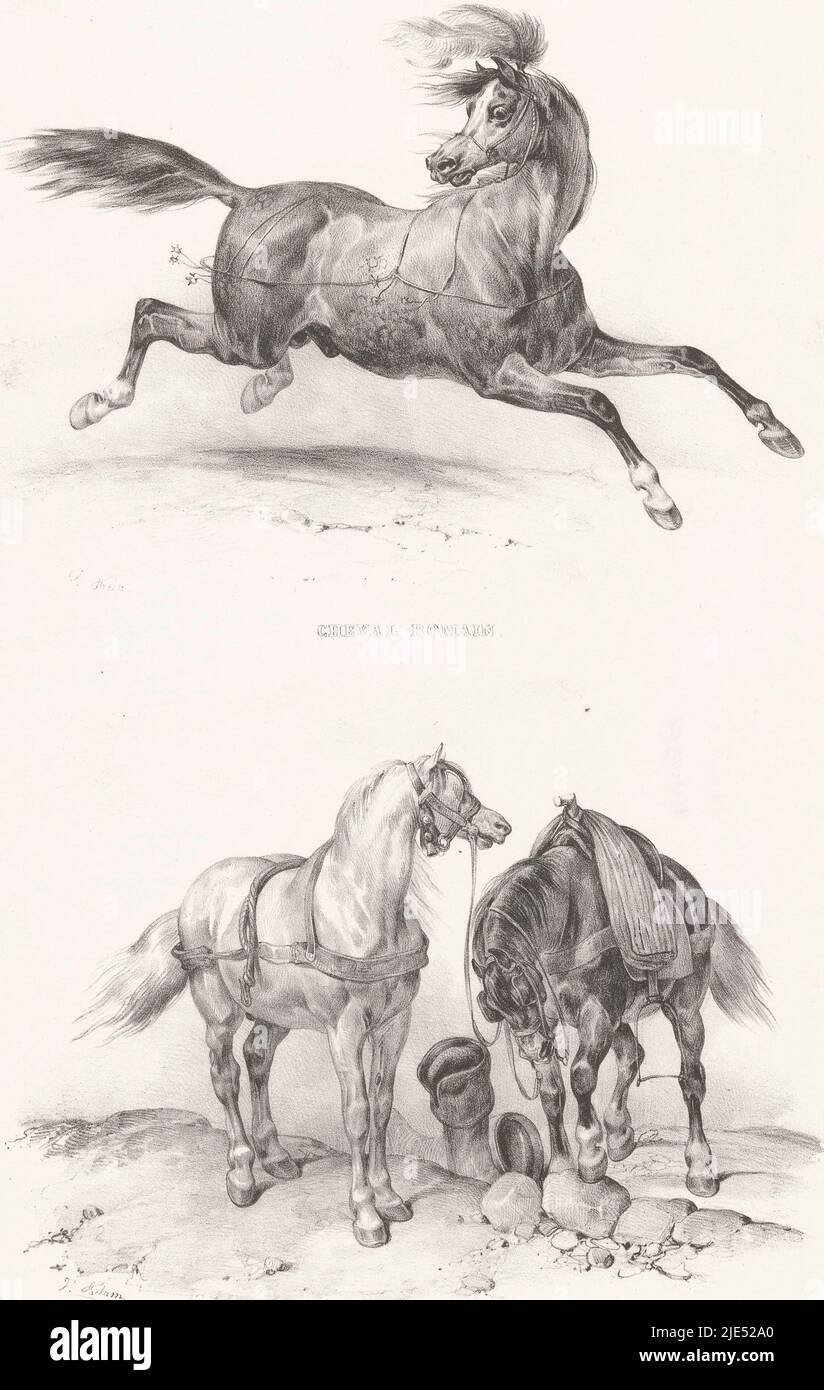 Poste de cheval hires stock photography and images Alamy