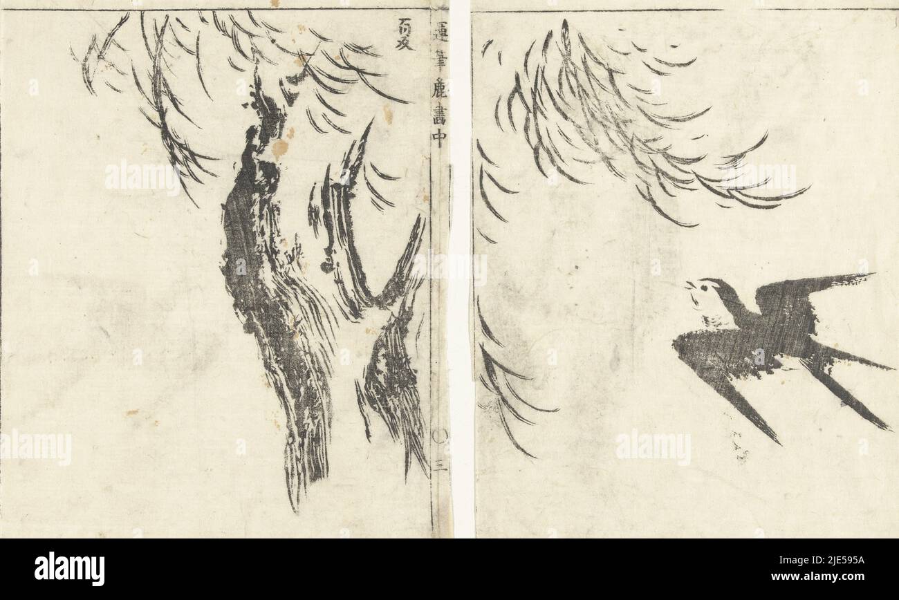 Swallow flying near a weeping willow. Two pages from the Japanese book Umpitsu soga, on the left the page number three, Swallow and willow Images in smooth brush strokes (series title) Umpitsu soga (series title on object), print maker: Tachibana Morikuni, publisher: Nishimura Genroku, Japan, 1849, paper, h 252 mm × w 158 mm, h 254 mm × w 152 mm Stock Photo