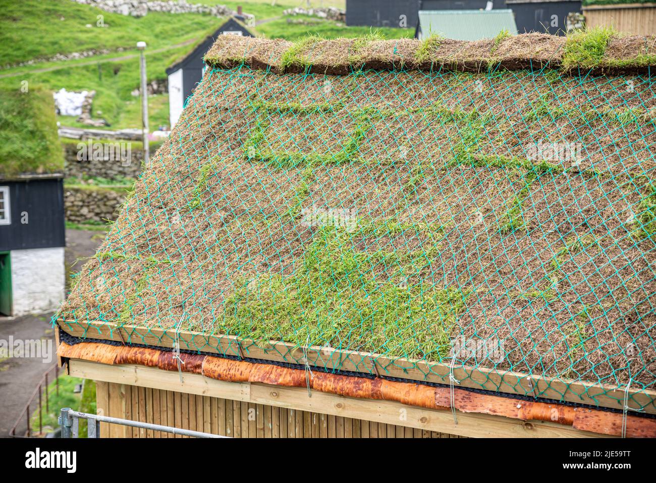 A new turf roof of a traditional faroese house, Mykines village, Mykines Island Stock Photo