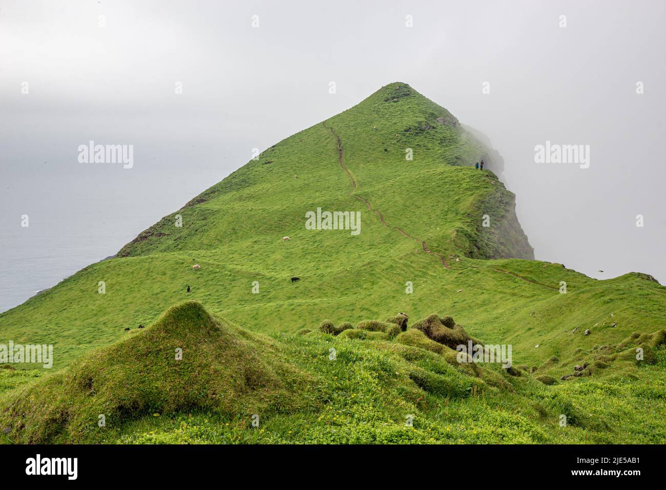 Mykines cliffs in the fog, Mykines Island, Faroe Islands Stock Photo