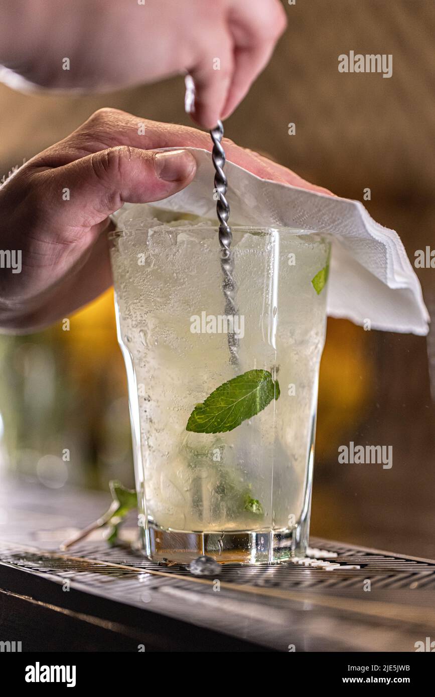 Barman preparing mojito cocktail. Long drink concept Stock Photo