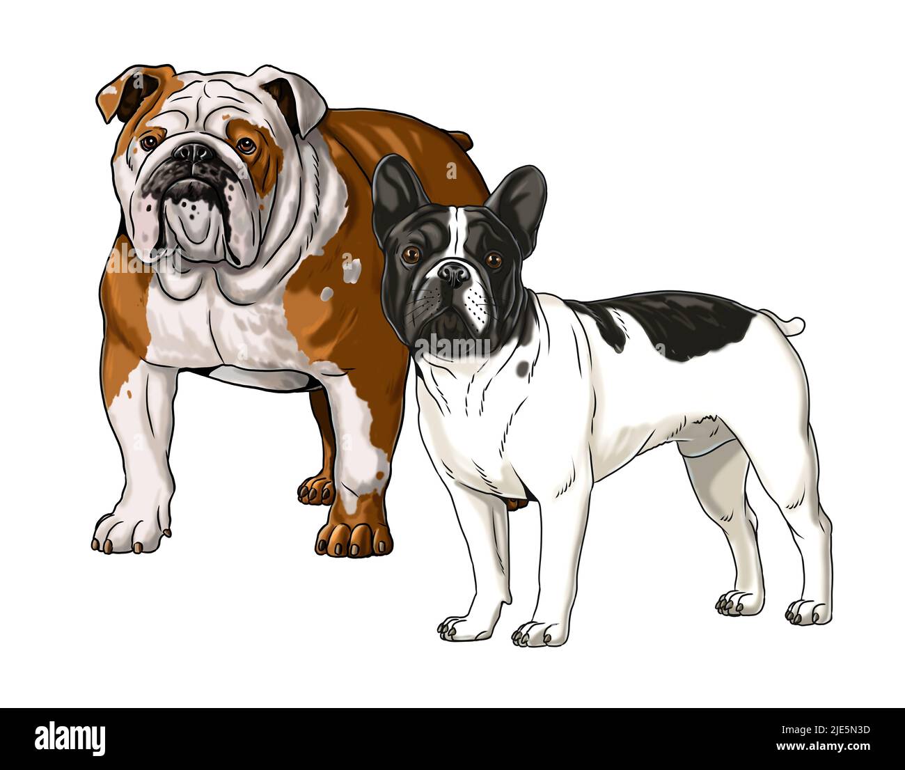 British bulldog cartoon hi-res stock photography and images - Alamy British bulldog cartoon hi-res stock photography and images - Alamy