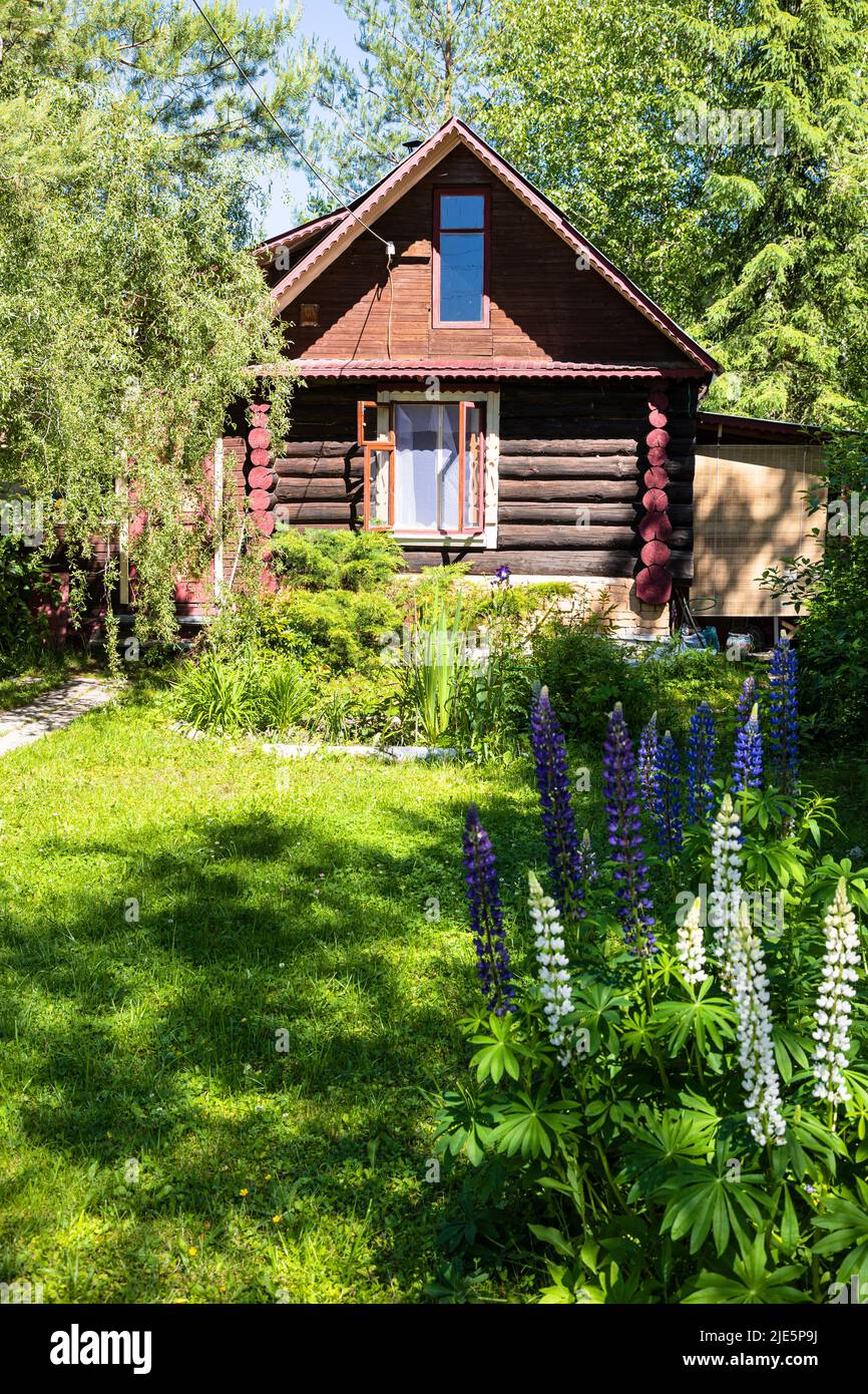wooden rural log house in ornamental garden on sunny summer day Stock Photo