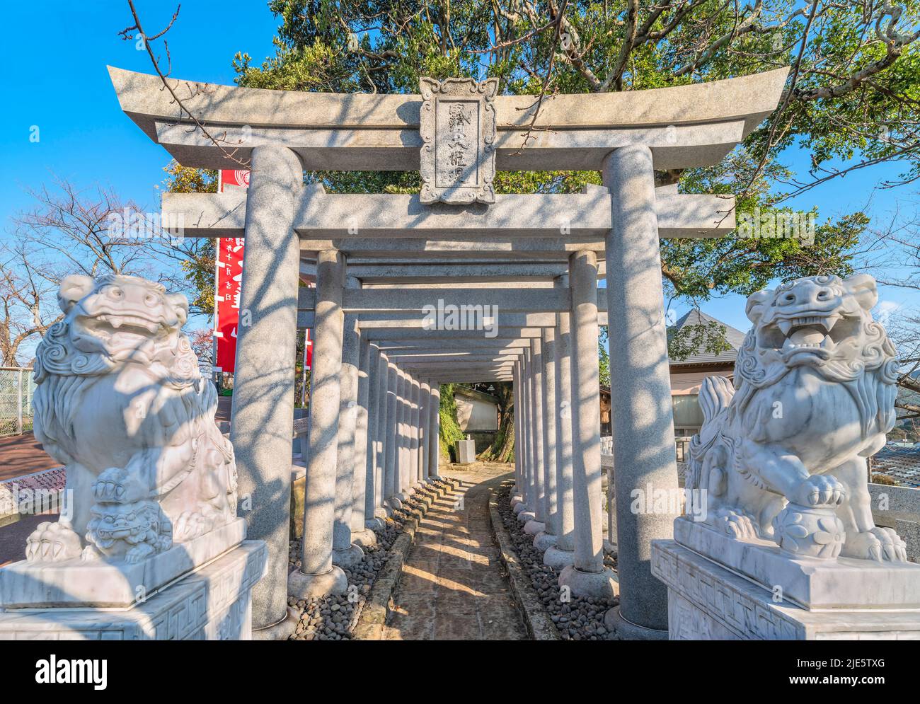 nagasaki, kyushu - december 14 2021: Marble statues of komainu lions in front of a tunnel of a dozen of torii gates leading to the Japanese buddhist K Stock Photo
