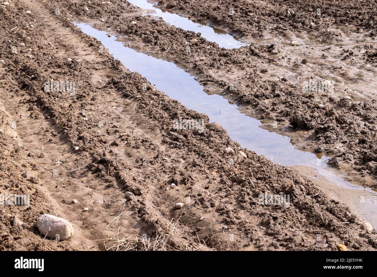 wet soil mud on an agricultural field, a field on which there is a