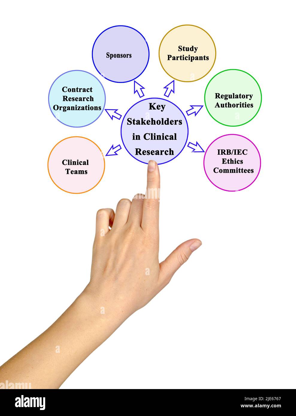 Major Stakeholders In Clinical Research Stock Photo Alamy