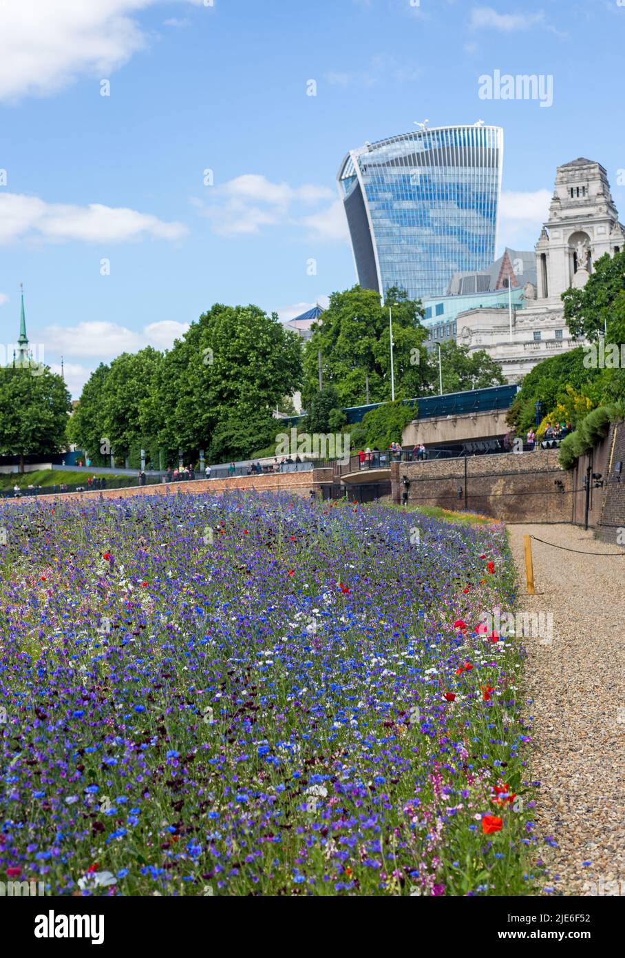 super Bloom, London, 2022. The Tower of London Moat filled with millions of wild flower seeds to encourage wildlife, with various Iconic buildings in Stock Photo