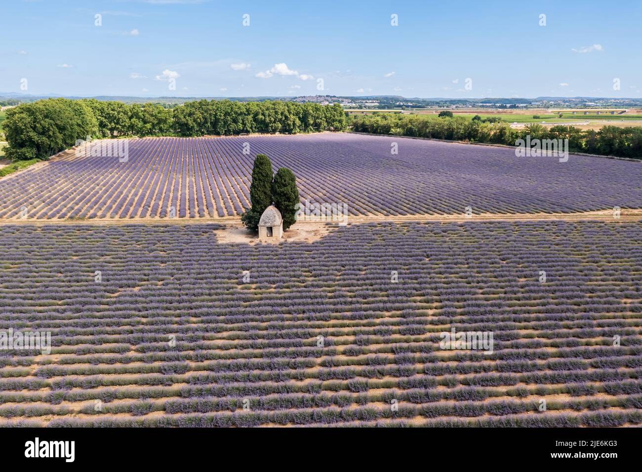 Aerial view of a lavender field in summer, near Aimargues, Occitanie, France Stock Photo