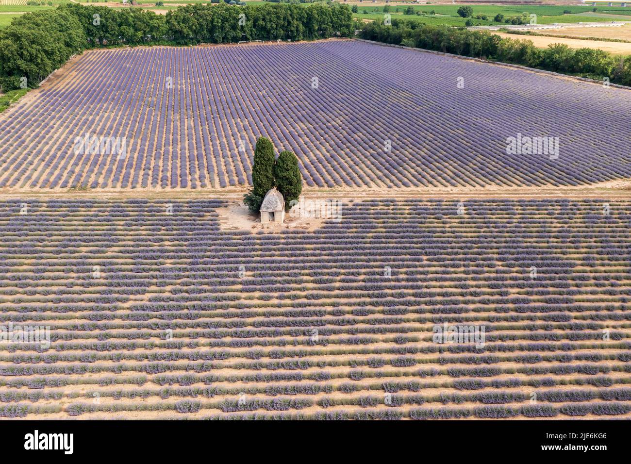 Aerial view of a lavender field in summer, near Aimargues, Occitanie, France Stock Photo