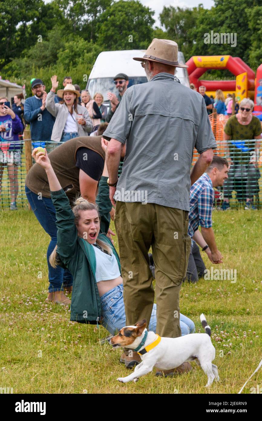 New Forest, Hampshire, UK, 25th June 2022: Competitors in the terrier racing at Frogham Fair, Frogham, Fordingbridge where the eager dogs cross the finish line at speed. This final was won by Flea Biscuit and her owner Gilly. Credit: Paul Biggins/Alamy Live News Stock Photo