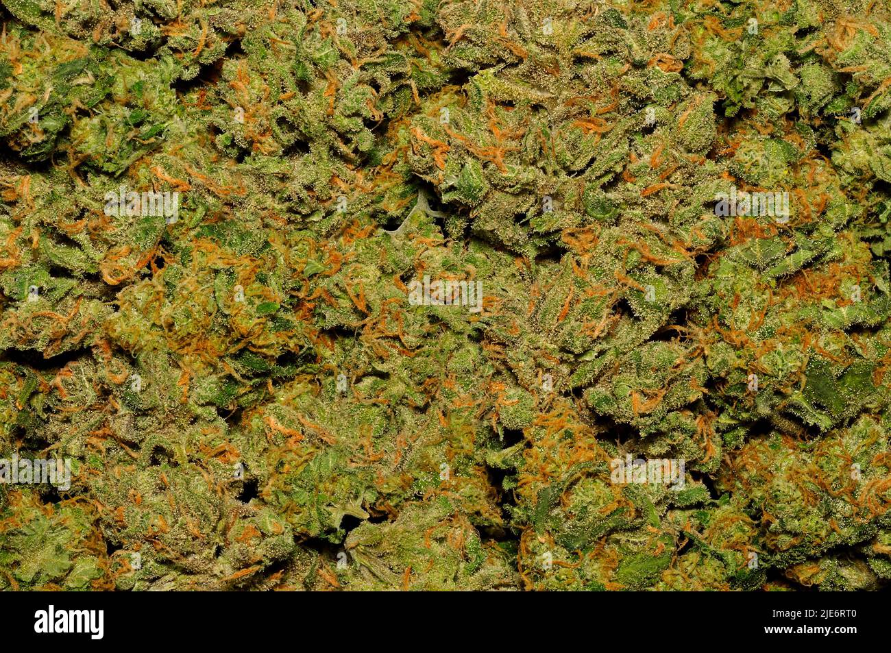 Cured cannabis flower buds Stock Photo Alamy