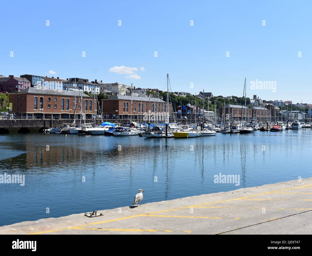 Nelson Quay, Milford Marina, Milford Haven, Pembrokeshire, Wales Stock