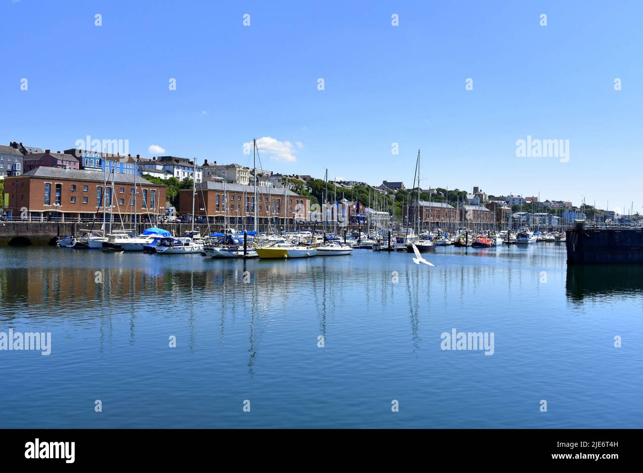 Nelson Quay, Milford Marina, Milford Haven, Pembrokeshire, Wales Stock