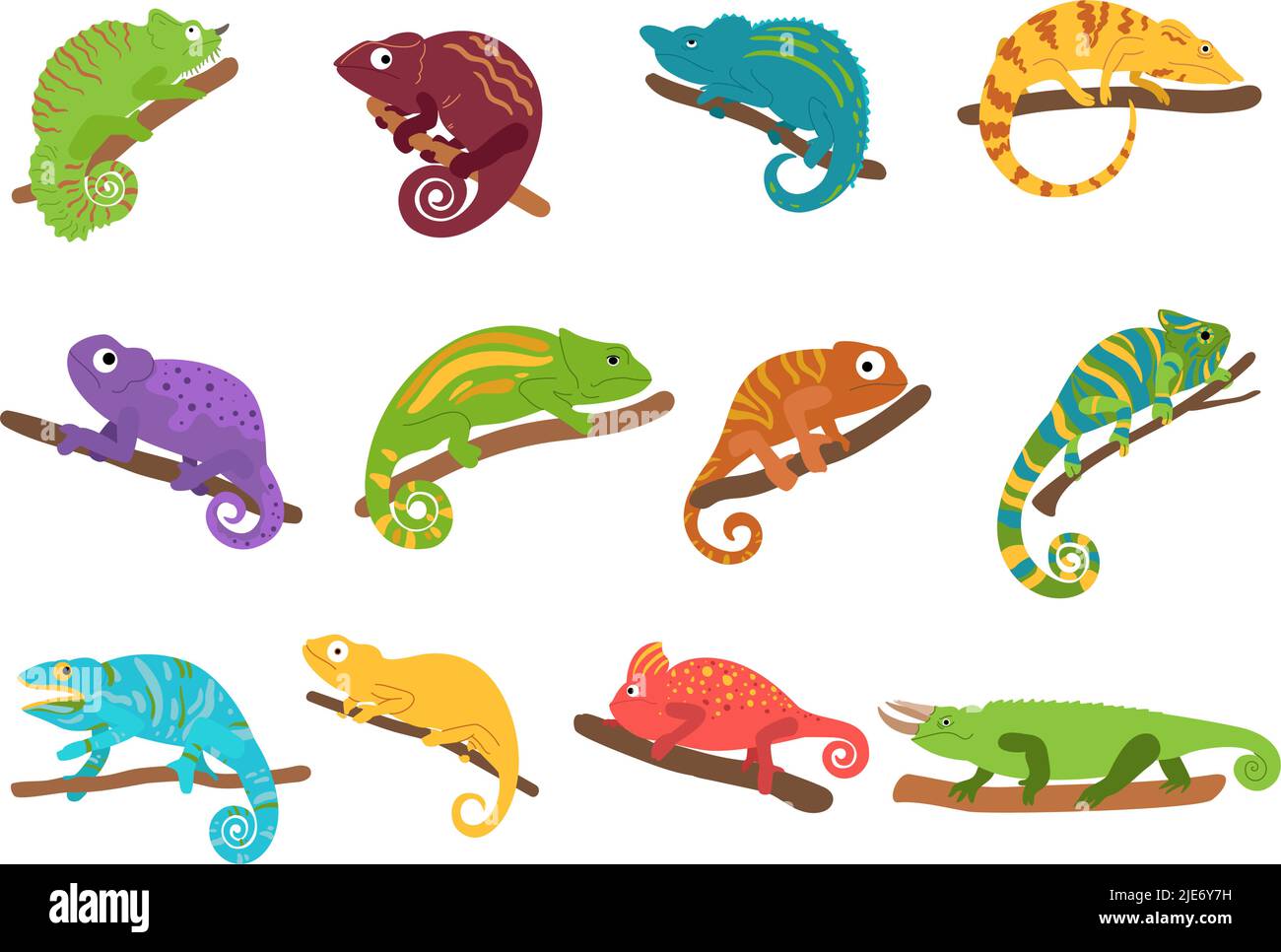 Chameleon animal. Mexican colourful lizard with curvy tail, tropical reptile animal and wild exotic chameleons vector set Stock Vector
