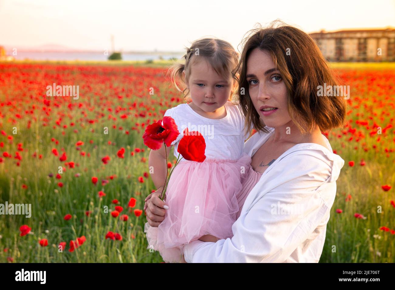 Mom and her little daughter in white clothes pose in a poppy field among flowering poppies at sunset. Red poppy flowers and a beautiful woman with a b Stock Photo