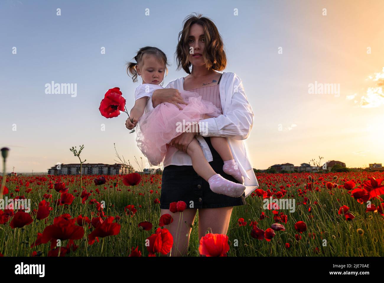 Mom and her little daughter in white clothes pose in a poppy field among flowering poppies at sunset. Red poppy flowers and a beautiful woman with a b Stock Photo