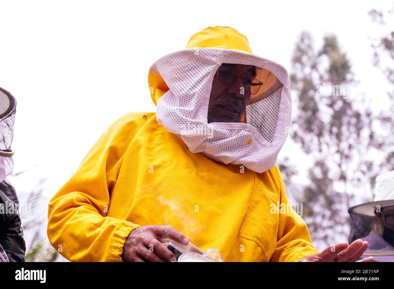 A beekeeper in a protective suit works with bees. A beekeeper inspects wooden beehives. Beekeeping. Eco apiary in nature. Fresh natural honey Stock Photo