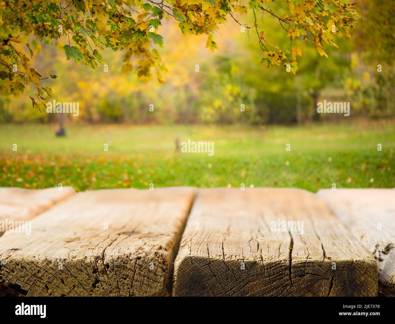 Empty wooden table on the background of beautiful autumn nature. Picnic, outdoor recreation, calm scenes, vacation, day off, romance, solitude, beauty Stock Photo
