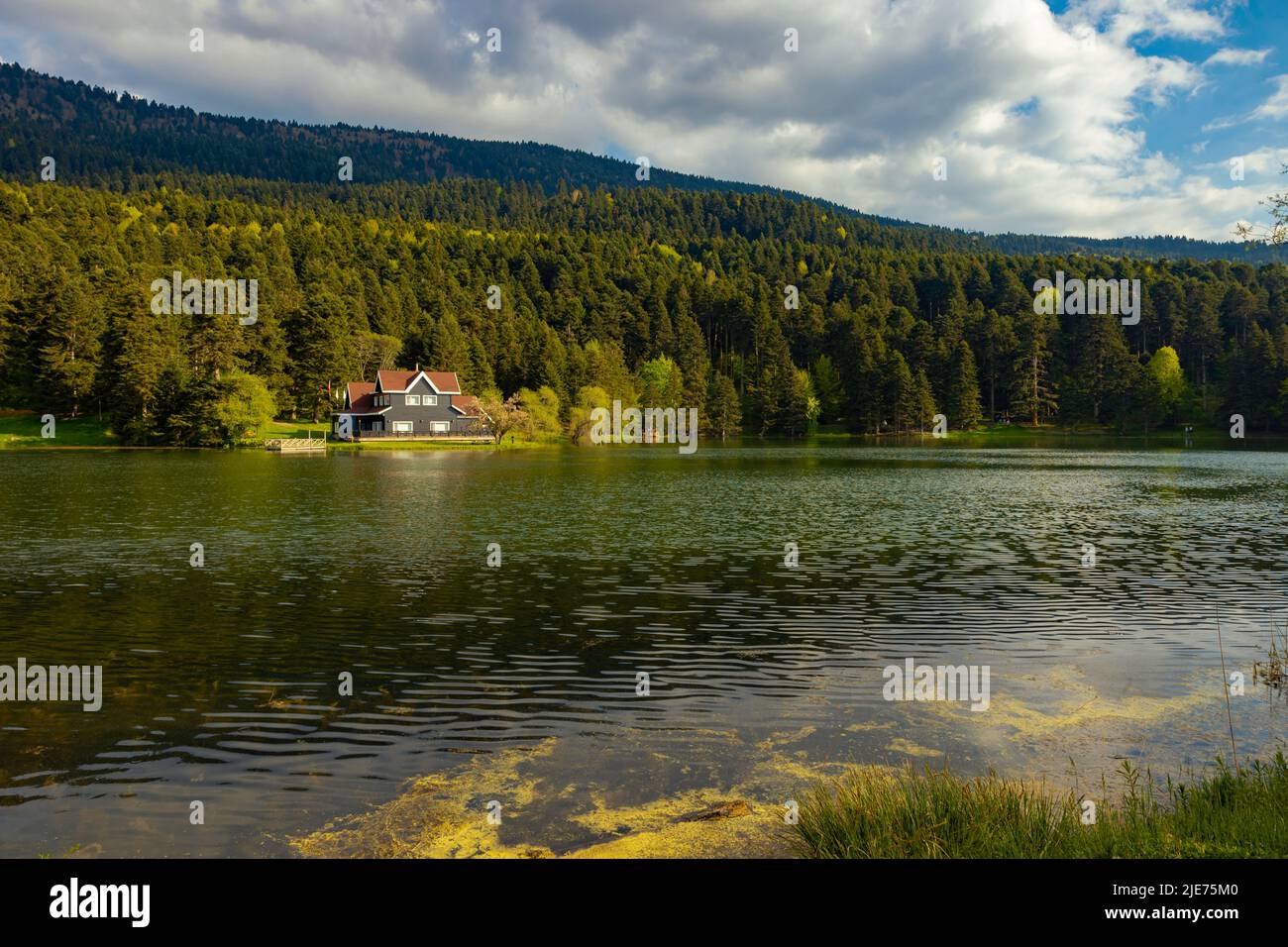 Landscape of the forest with lake. Bolu Golcuk Nature Park in Turkey. Travel to Turkey background photo. Stock Photo