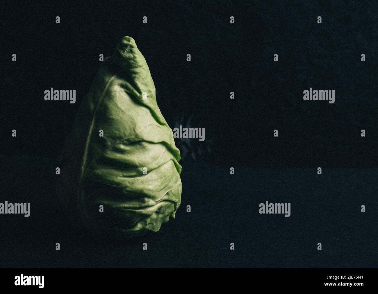 Cone head cabbage for dietary, vegan on a black background Stock Photo