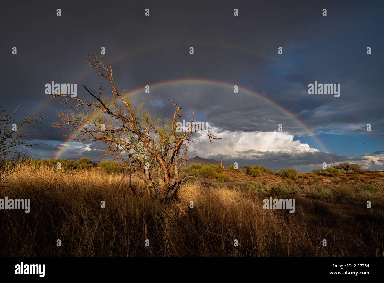 A rainbow after a clearing desert storm Stock Photo - Alamy