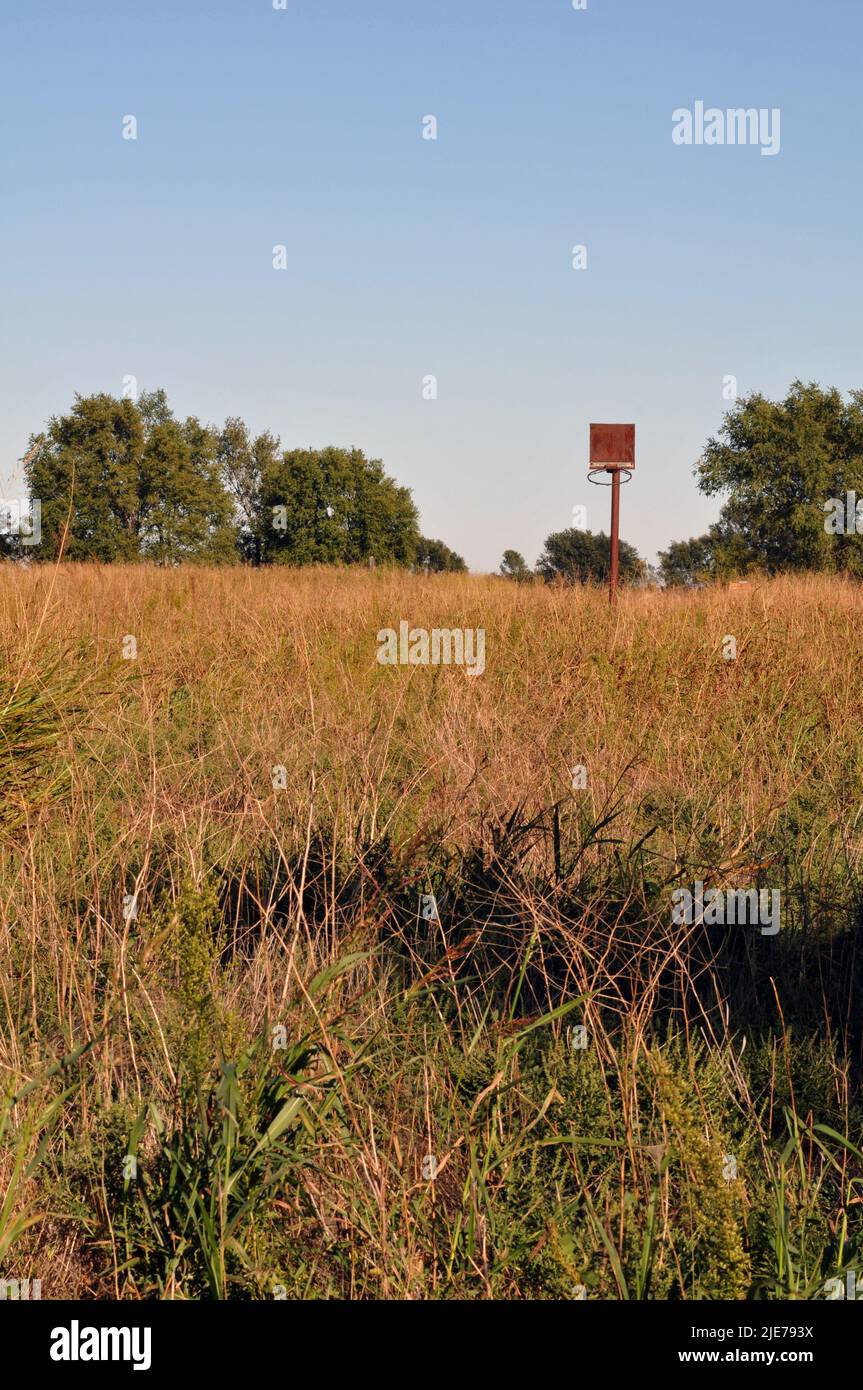 A solitary basketball hoop stands abandoned in an overgrown field in the small Route 66 town of Texola, near the Texas state line. Stock Photo
