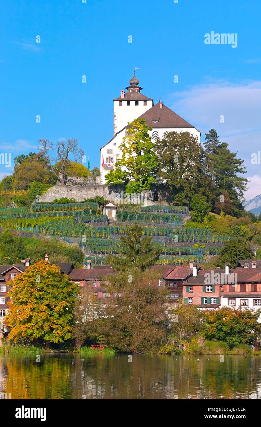 Scenic Village and Castle Werdenberg in fall, Grabs Rheintal CH Stock Photo