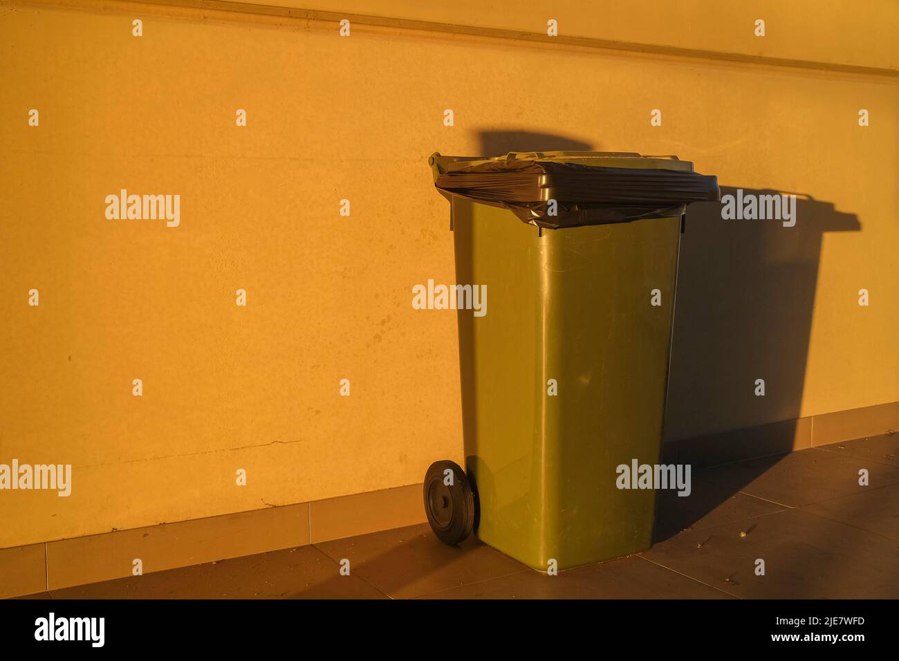 Wheelie waste bin against wall in morning light Stock Photo