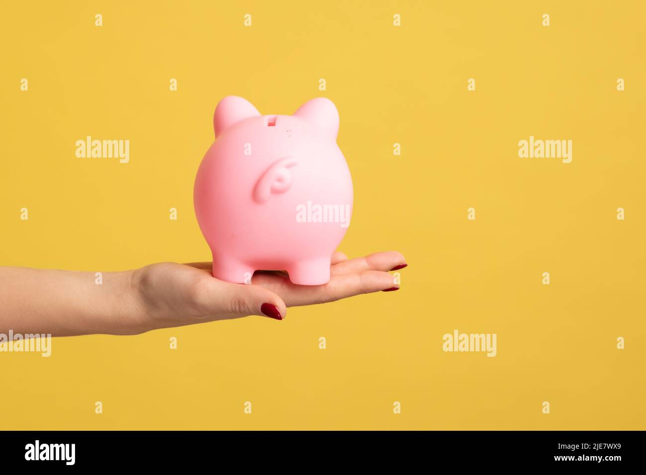 Closeup shot of woman hand holding pink piggy bank backwards to camera, investment, saving money, currency, deposit. Indoor studio shot isolated on yellow background. Stock Photo