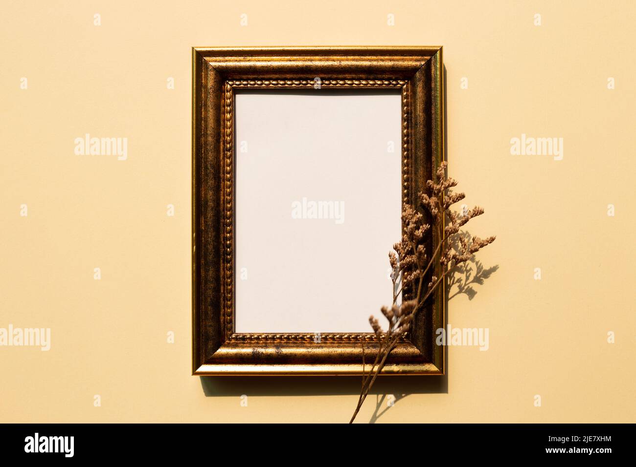 Antique gold photo frame with dry flower isolated on beige background. copy space Stock Photo