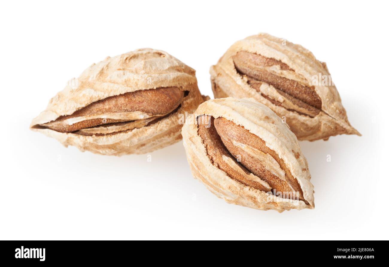 Almonds isolated on white background with clipping path Stock Photo