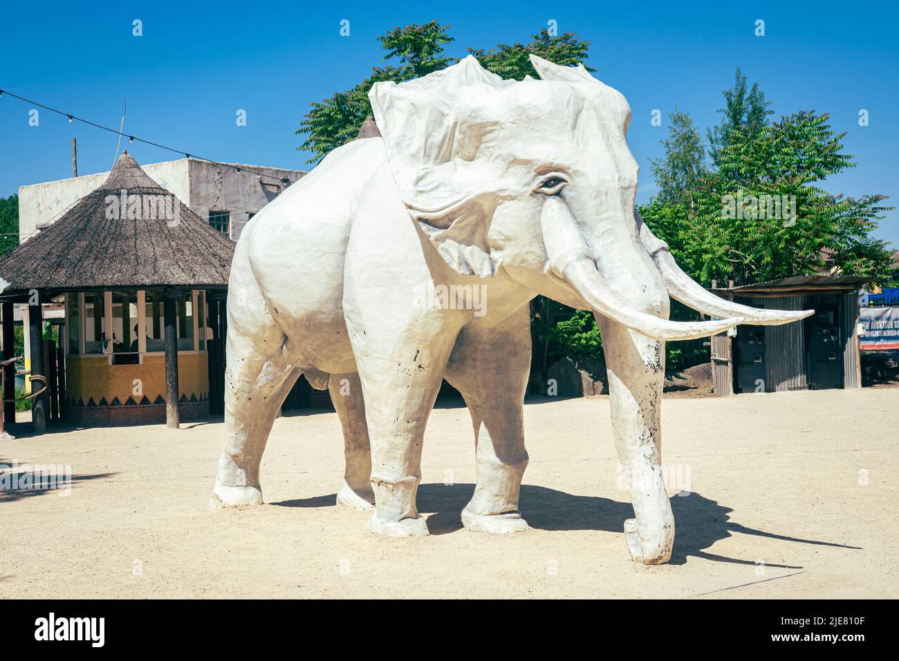 Statue of a white elephant in front of the entrance of safari park