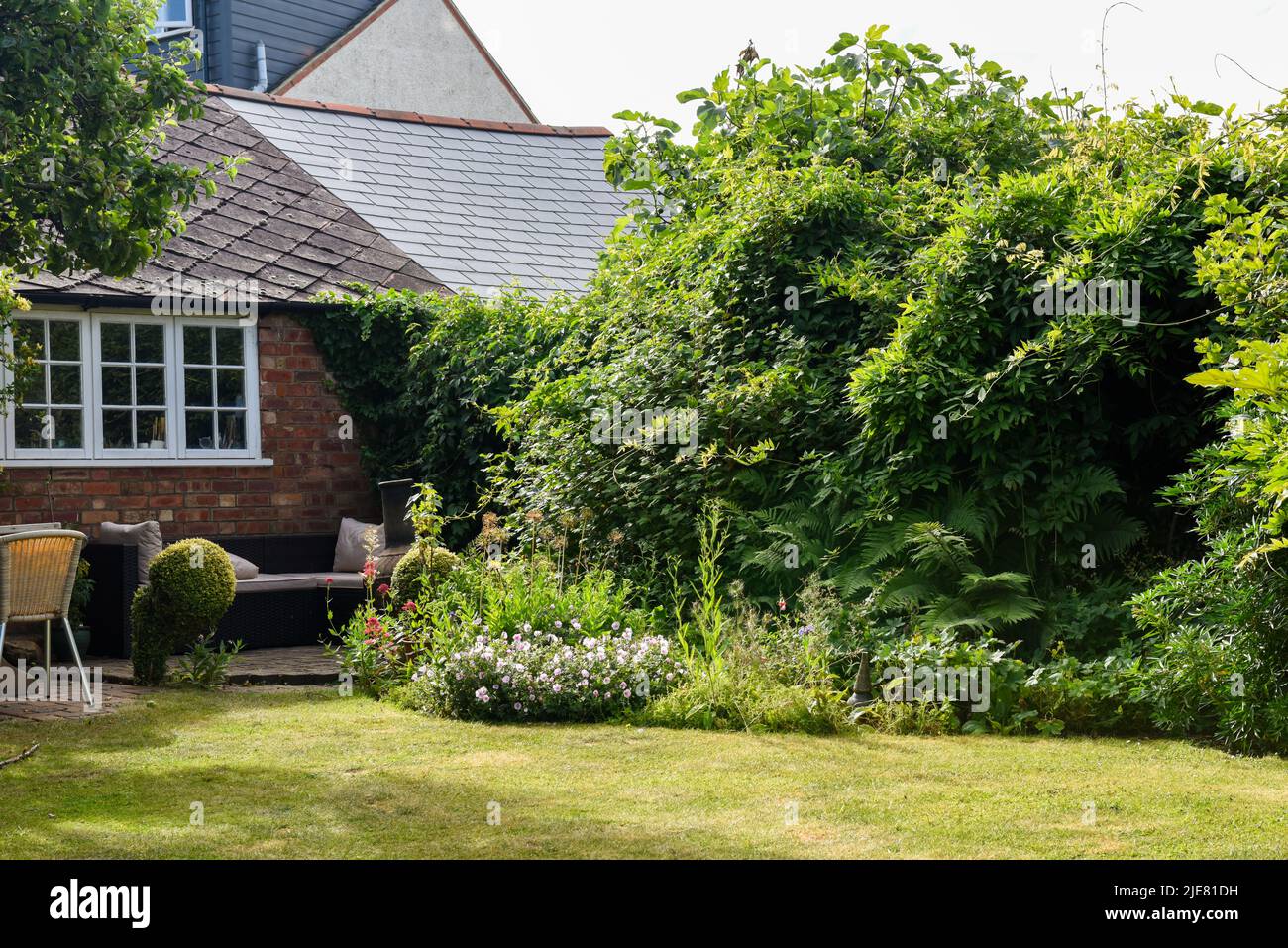 Domestic back garden or yard with flower beds and grass lawn and pot plants Stock Photo