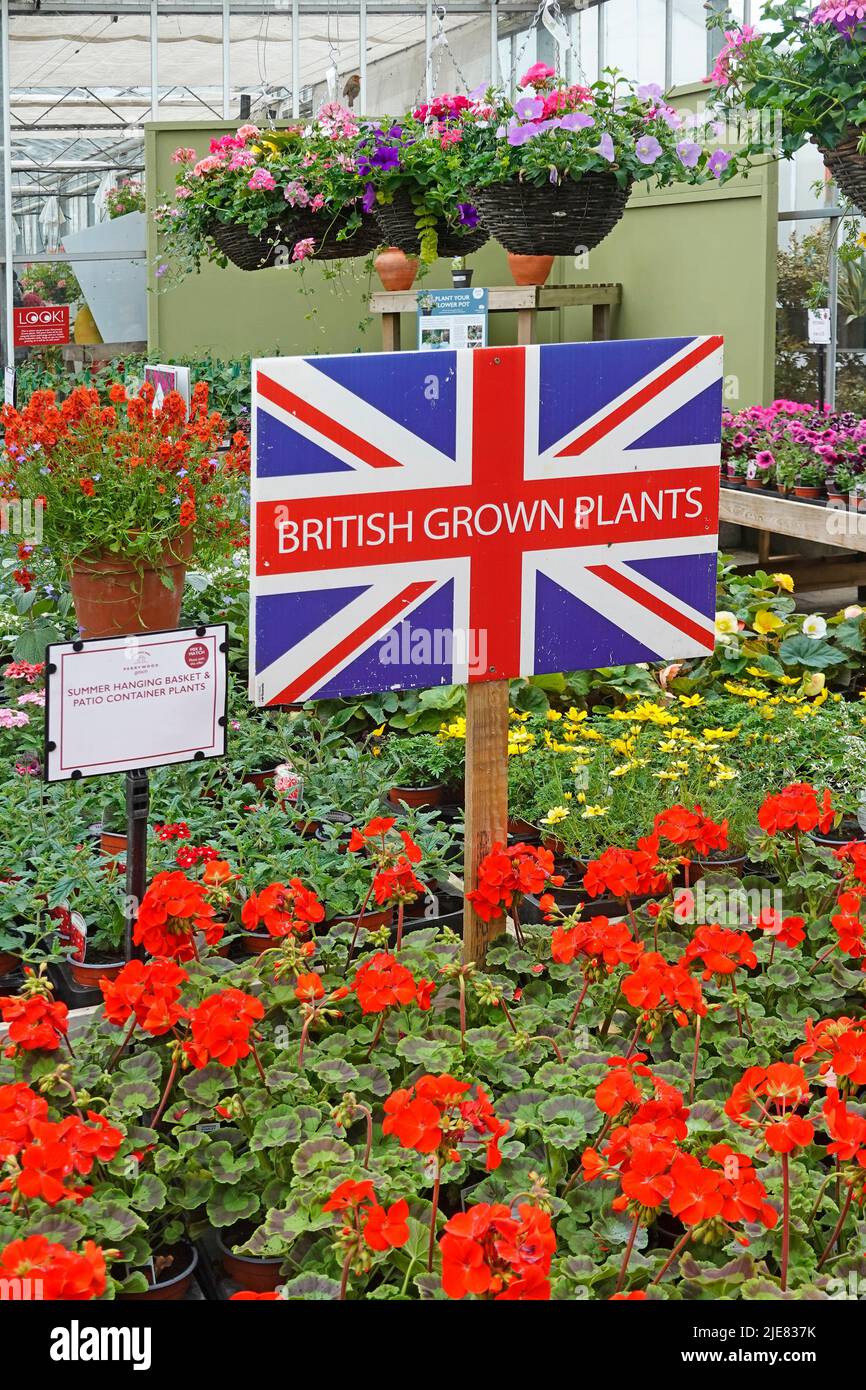 Perrywood Garden Centre retail business & Union Jack flag graphic promoting & displaying British Grown Geraniums in their Plants Nursery England UK Stock Photo