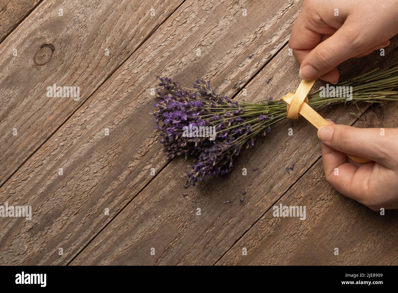 Woman ties a yellow ribbon around a bunch of lavender flowers Stock Photo