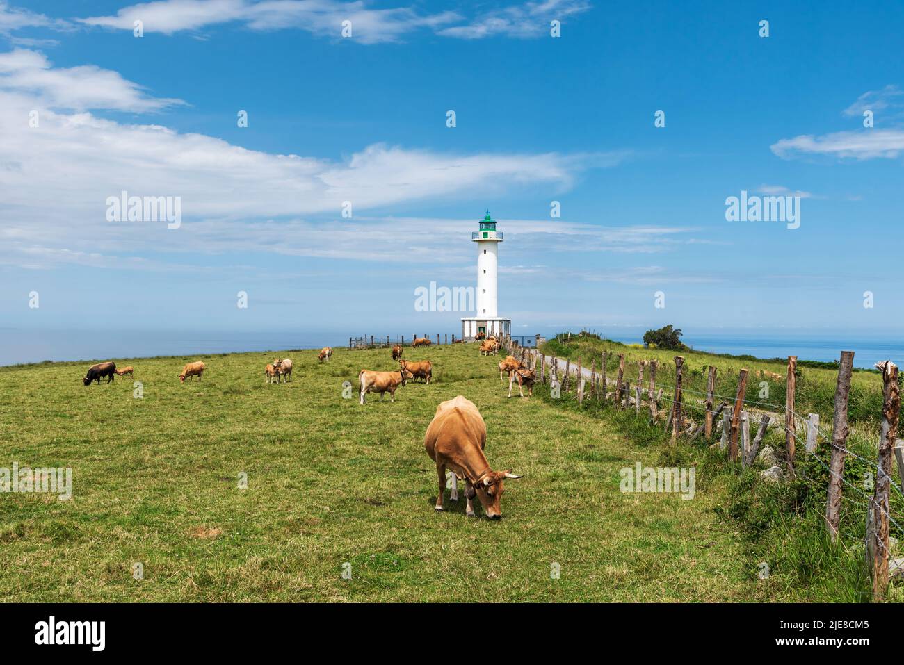 Lastres lighthouse with cows in the surrounding pastures. Stock Photo