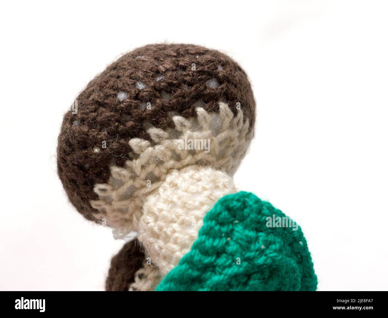 The vintage handmade Knitting patterns. Mushroom. Stock Photo