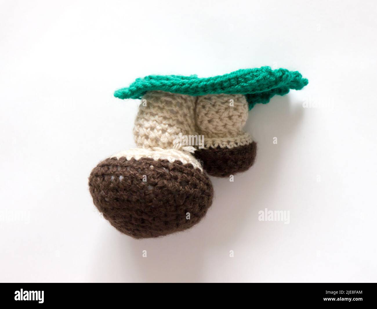 The vintage handmade Knitting patterns. Mushroom. Stock Photo