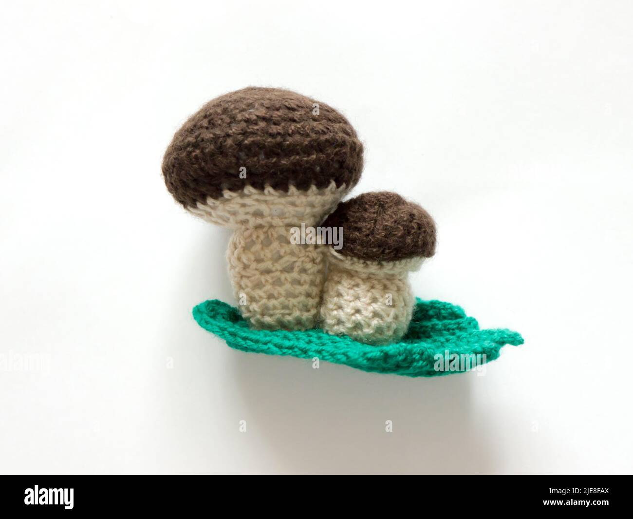 The vintage handmade Knitting patterns. Mushroom. Stock Photo