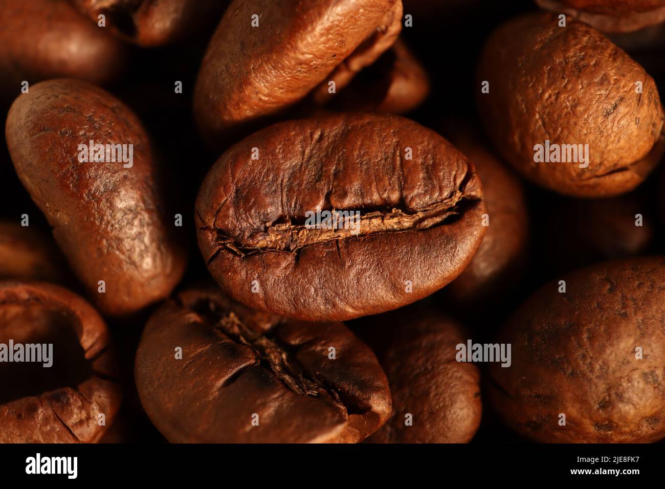 Coffee grains in macro, warm light, texture, many coffee beans Stock