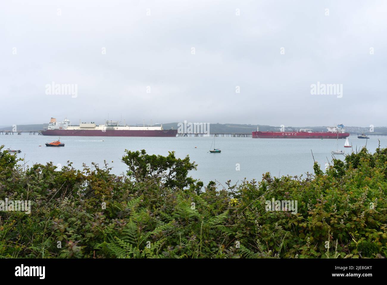 Tankers docked at South Hook LNG terminal, Milford Haven Waterway