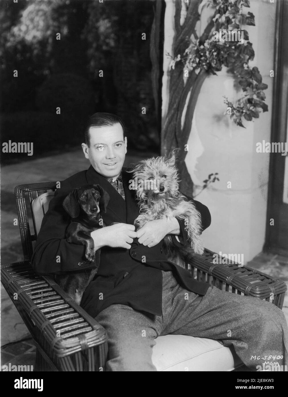 Songwriter / Composer COLE PORTER candid portrait at his Beverly Hills Home with his two Dogs at the time he was working on the lyrics and music of the songs for ELEANOR POWELL in BORN TO DANCE 1936 director ROY DEL RUTH Metro Goldwyn Mayer Stock Photo