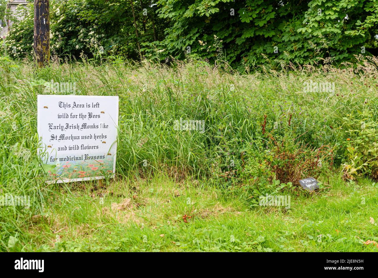 Sign in a park garden advising that the area has been left to go wild, encouraging bees and other wildlife. Stock Photo