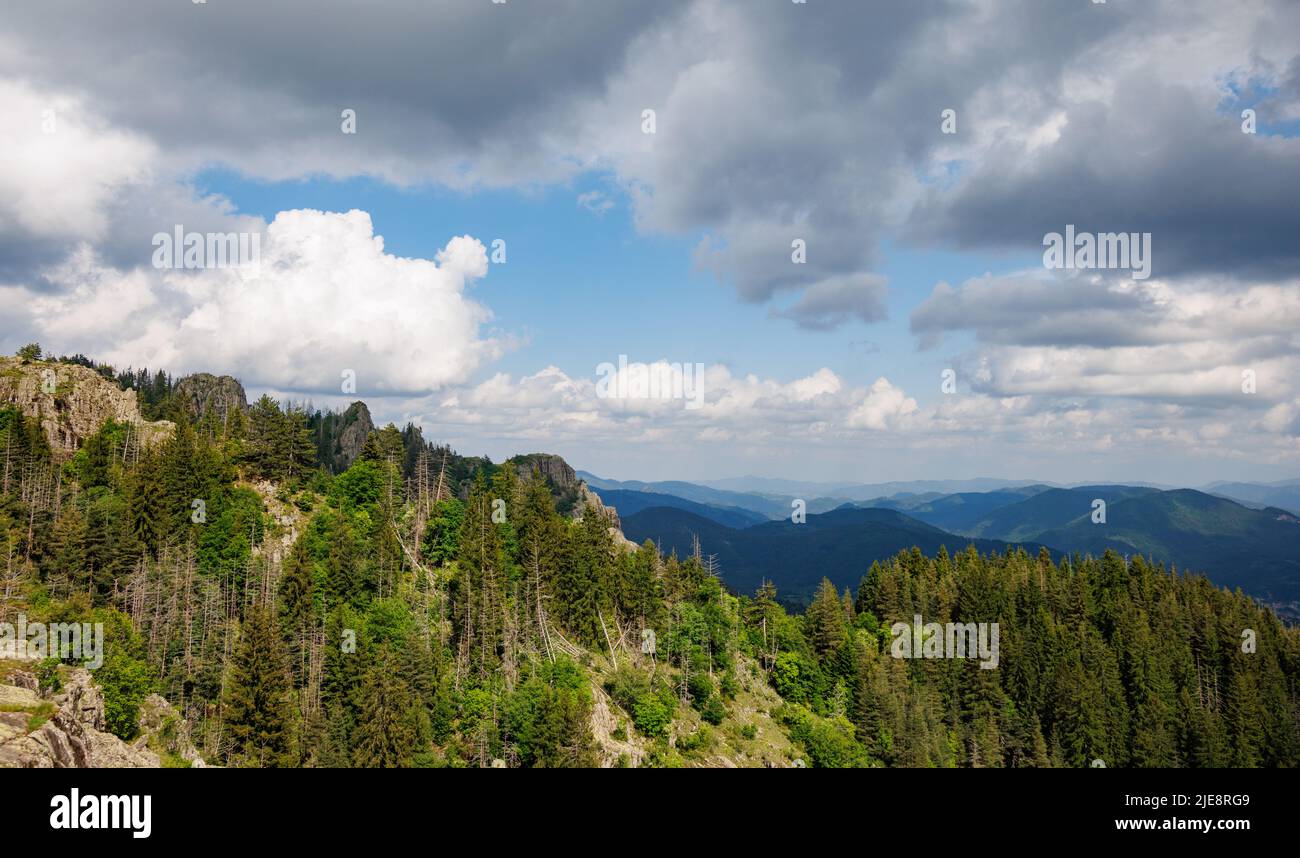 High rocky wild mountain range of Rhodope Mountains covered with green bright vegetation, against the backdrop of mountain valley covered with dense d Stock Photo
