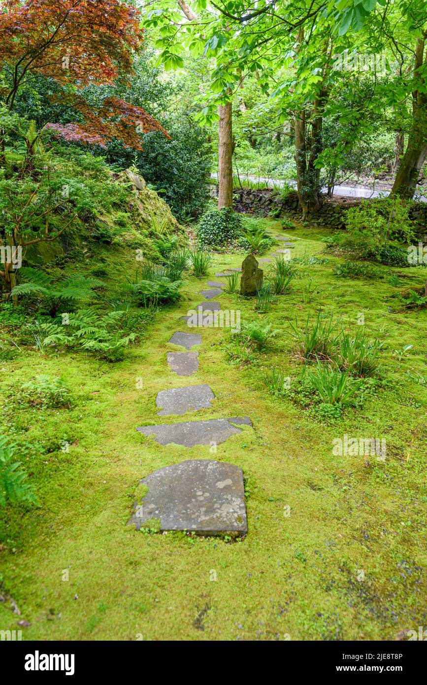 Stone path through a moss covered forest garden area. Stock Photo